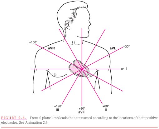 Why Lead aVR Deserves Your Attention?

Lead aVR is often overlooked, but it gives important clues in serious heart problems. It views the heart from the top (base), offering a unique perspective that other leads don’t.

Here’s why it matters:
1️⃣ ST elevation in aVR, especially