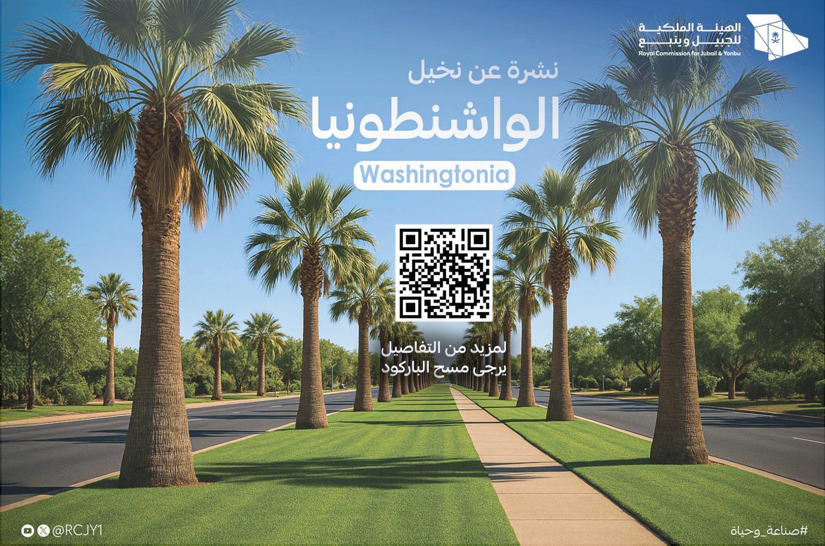 يسرّنا أن نقدم لكم النشرة التعريفية عن أشجار نخيل الواشنطونيا، التي تُعد من أجمل وأميز أنواع النخيل، لما تتمتع به من شكل أنيق وطابع فريد. تزيّن هذه الأشجار شوارع وحدائق مدينة #ينبع_الصناعية. 
لمزيدا من التفاصيل ، يرجى الدخول على الرابط ادناه أو مسح الباركود على الصورة.