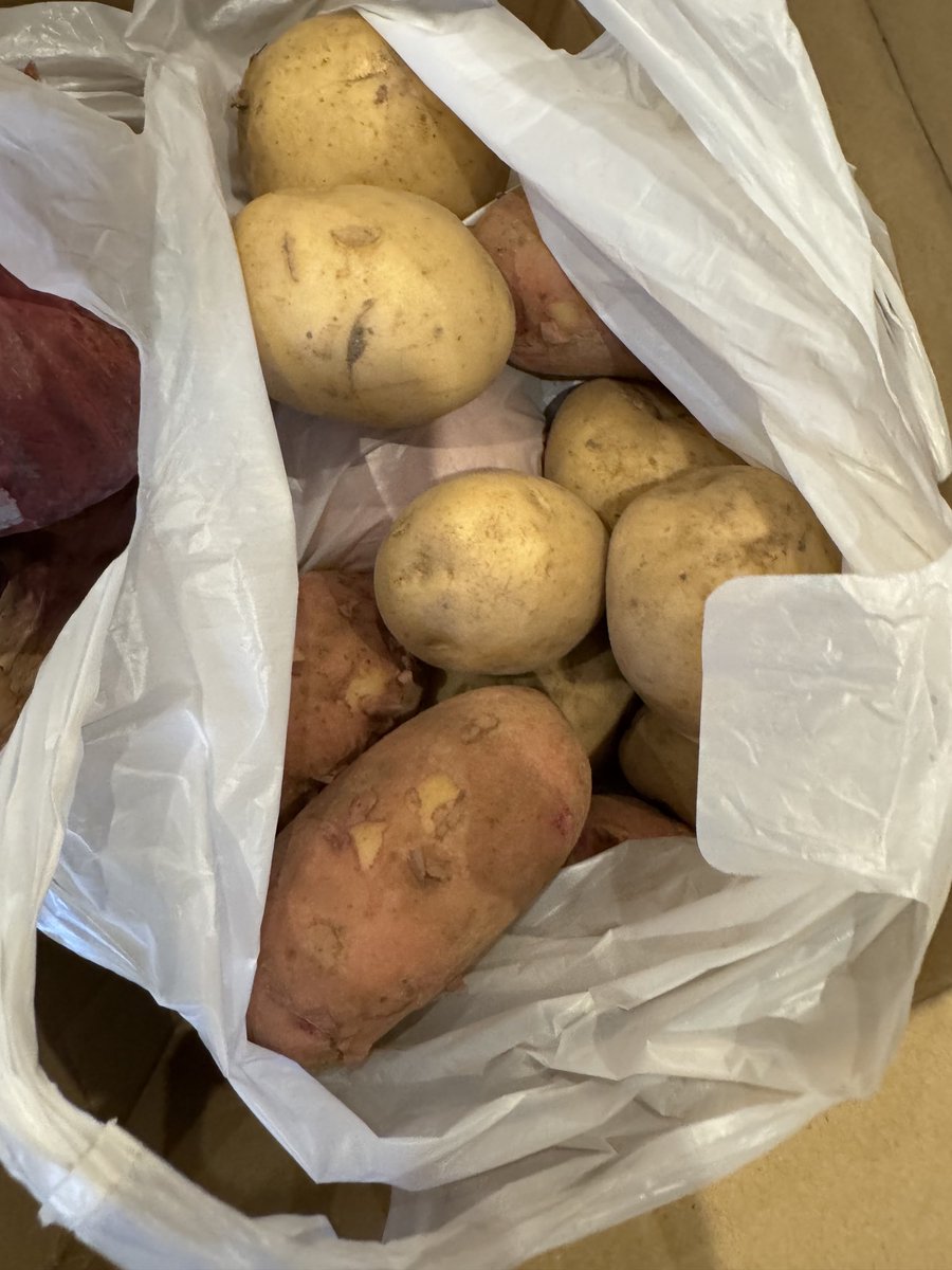 京都、亀岡の親友からタマネギ🧅とじゃがいも🥔が送られてきました👍
玉ねぎは昨年の10月に私も苗の植え付けを手伝いました😊
立派に育ちました！
ありがとう✨