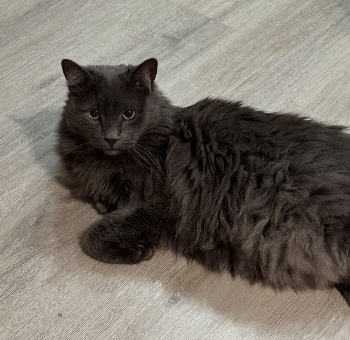 є бажання зробити ранковий донатікс якийсь? 

send.monobank.ua/jar/7YtqThciQZ