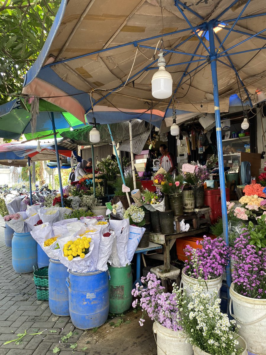 adlyn the kangaroo tweet media