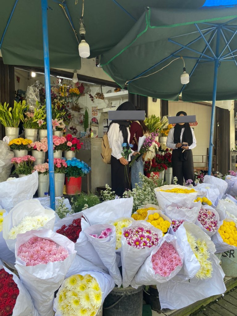 adlyn the kangaroo tweet media