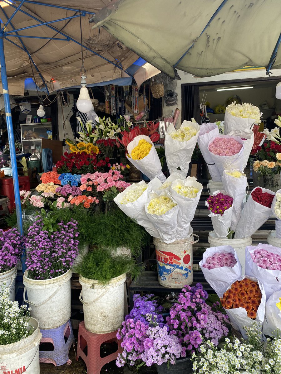 adlyn the kangaroo tweet media