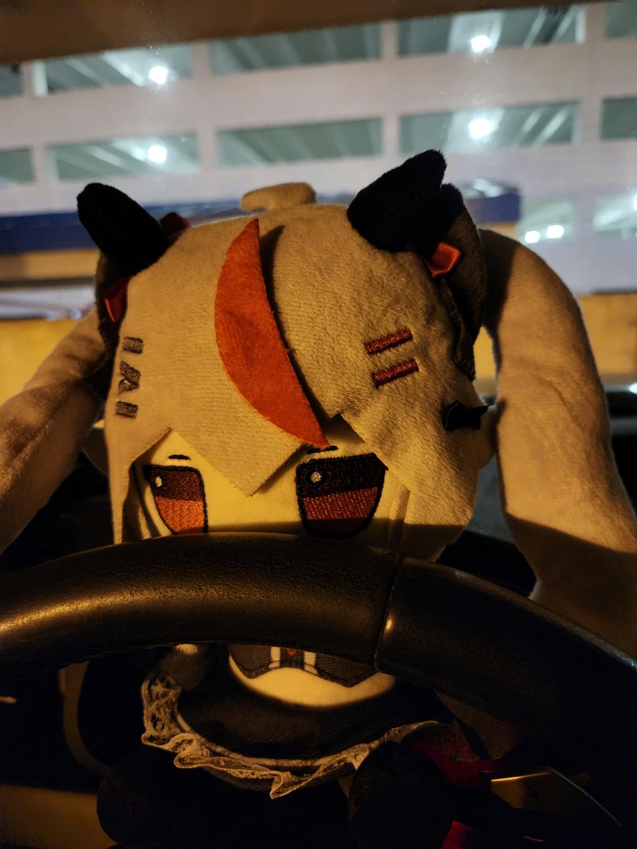 Remi ready to accompany me on the hour drive home after the flight arrived 3 hours late. Landed after 3AM and I got zero sleep on the plane cause dumb kids.
Oh yeah, I also got work in four hours, LFG!!
#WemiFBA