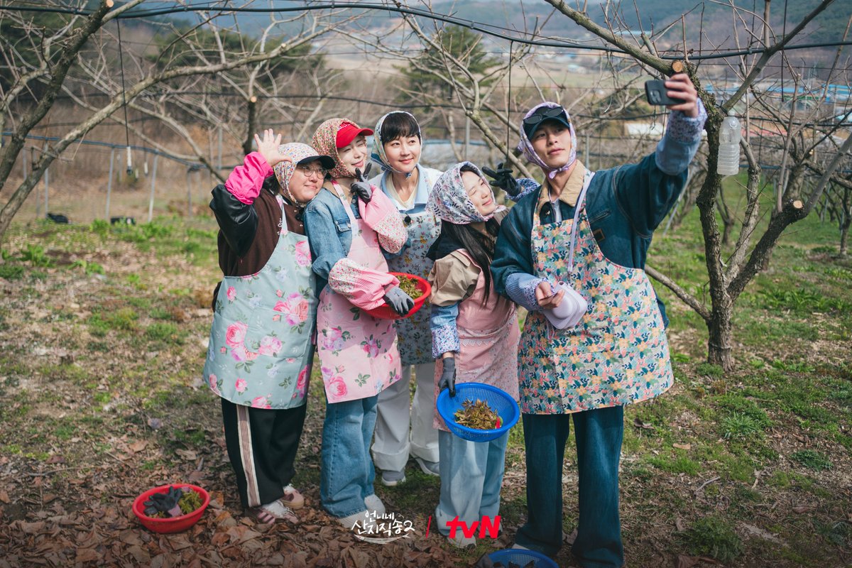 tvN joy tweet media