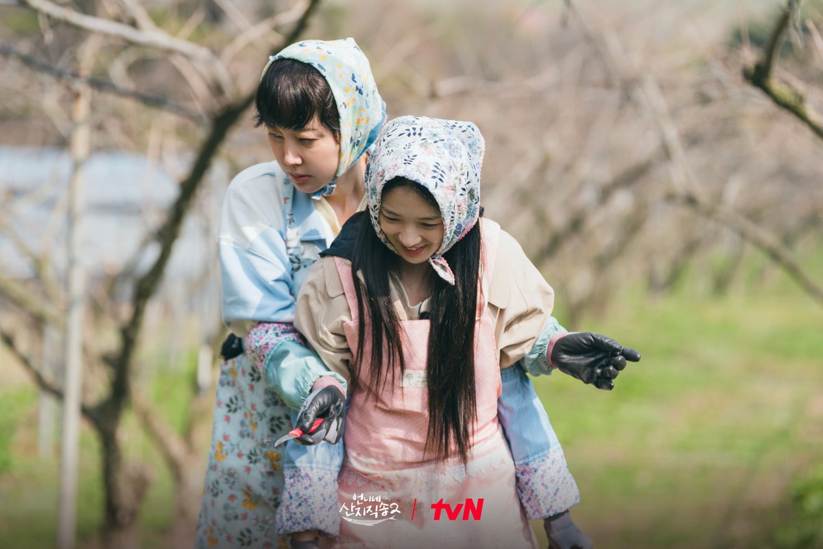 tvN joy tweet media