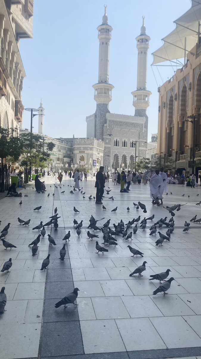 5tinx's tweet image. 