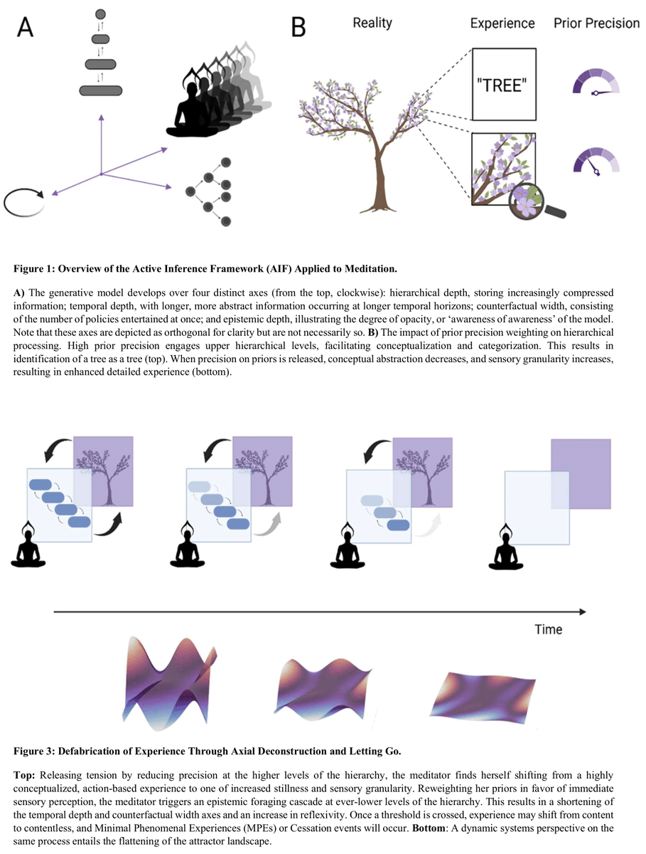 MatthewSacchet's tweet image. How can lived experience be mathematically formalized, and what might computational models reveal about the depths of consciousness during advanced meditation?
As research on advanced meditation enters a new era, a powerful question emerges: Can we mathematically model…