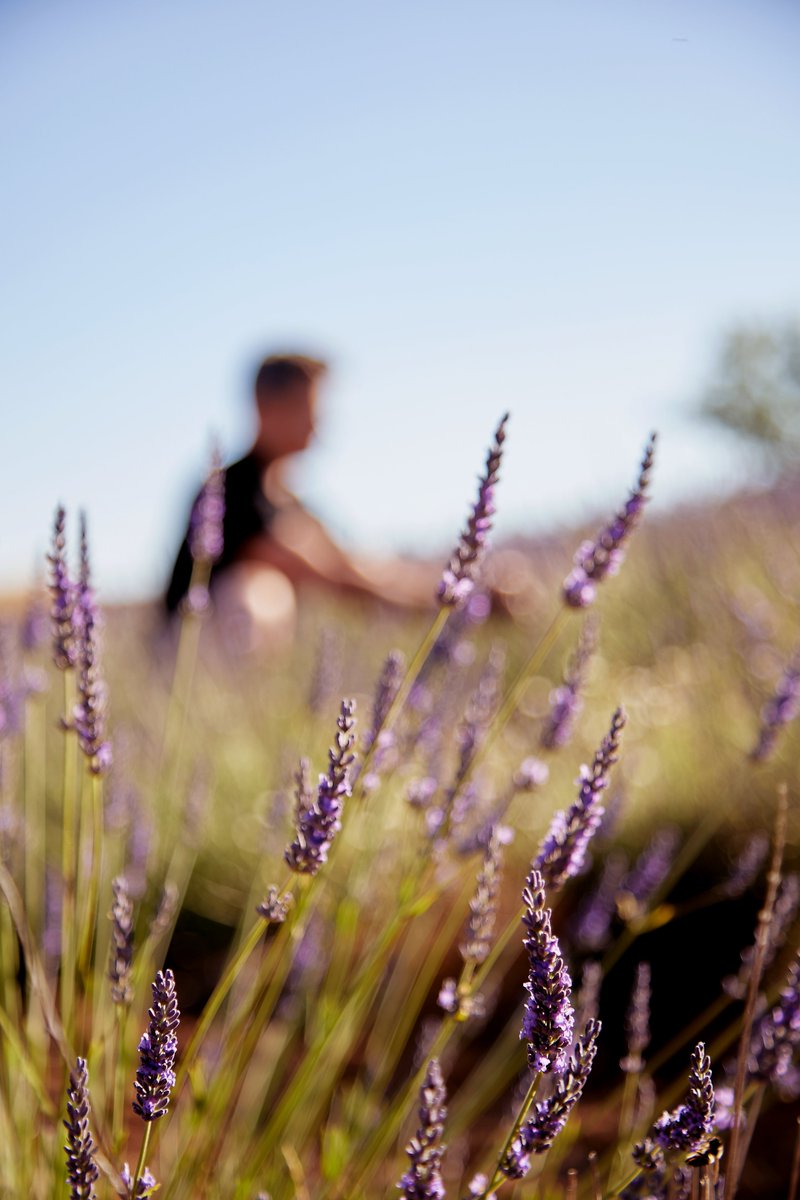 Bodegas Fariña tweet media