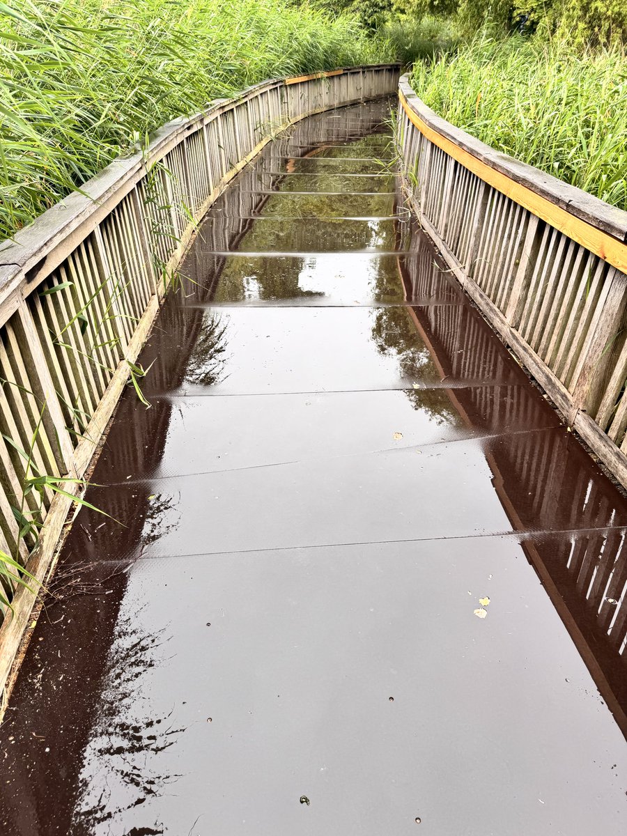 TJQPNI's tweet image. Nice weather for shiny walkways…and me
