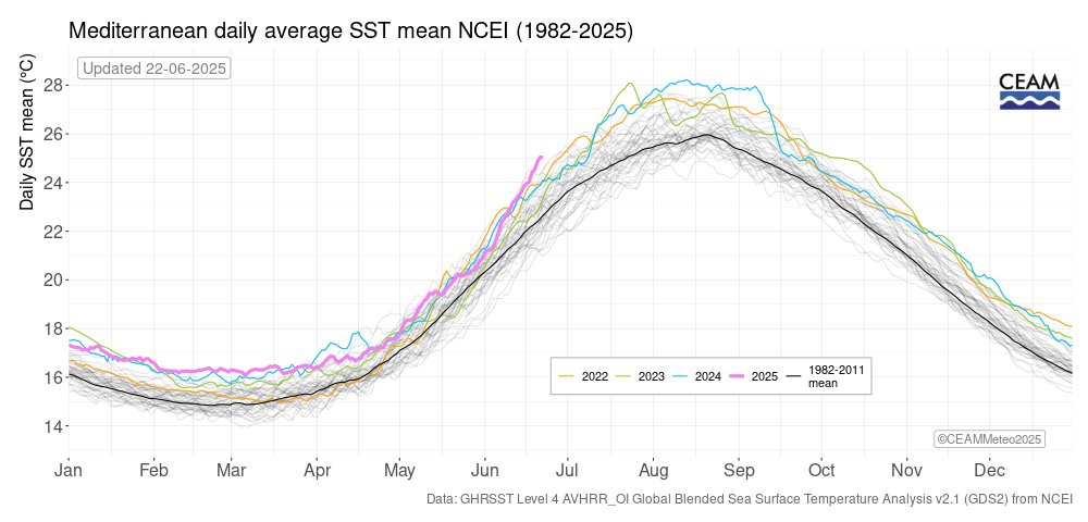 The Mediterranean Sea is the hottest on record for this time of year.