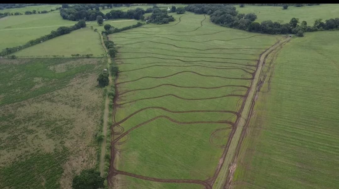 🌾 Contour Banks on Rice Field in Panama 🌎
Designed for water retention and erosion control, these curves are more than lines — they're productivity and precision in action. Precision-built with OptiWorks.

#RiceFarming #PrecisionAg #ContourBanking #OptiWorks #Panama 

📸👇