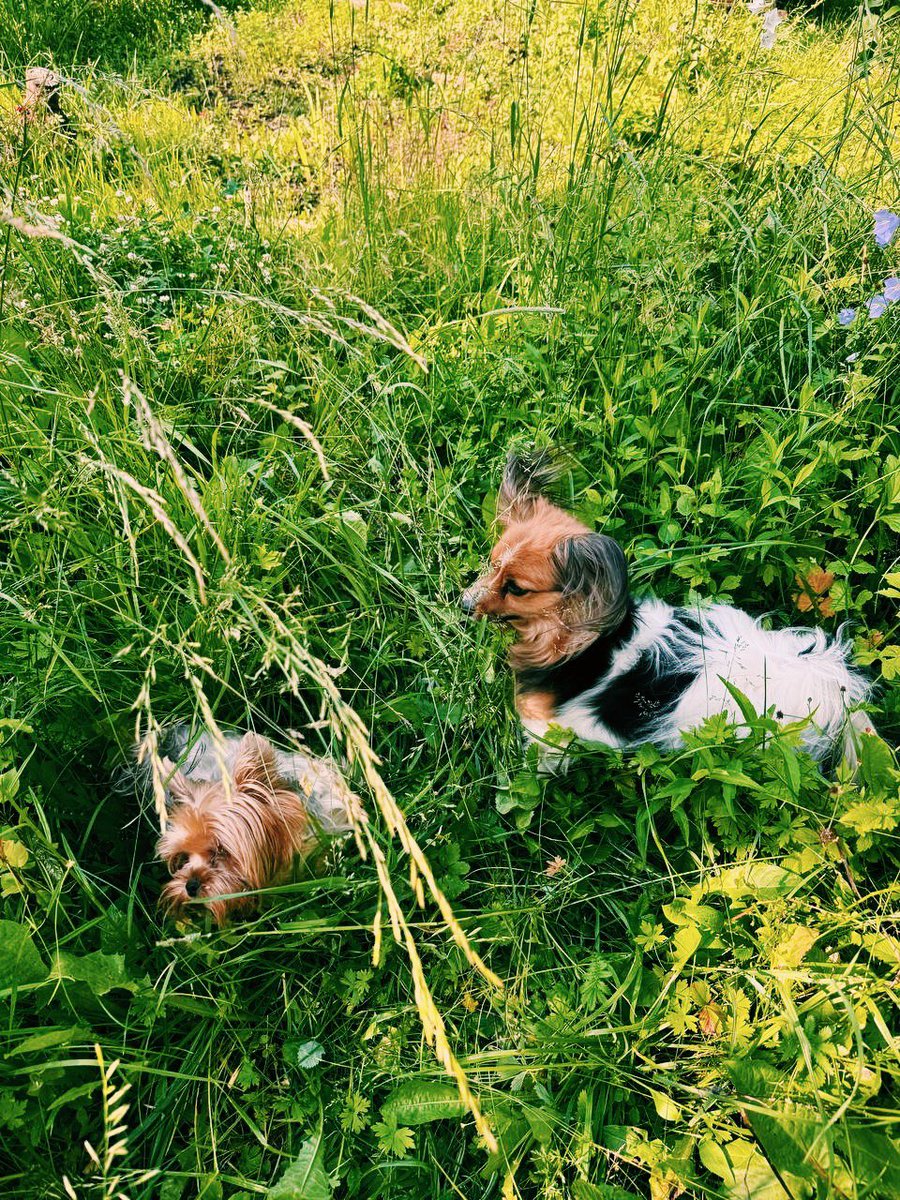 мы в деревне были, а вы что делали?