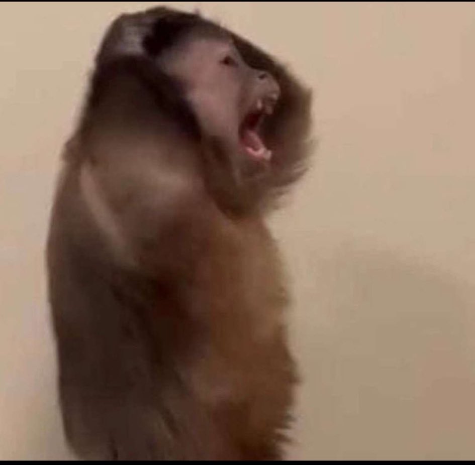 بيوصلني بعد شهر