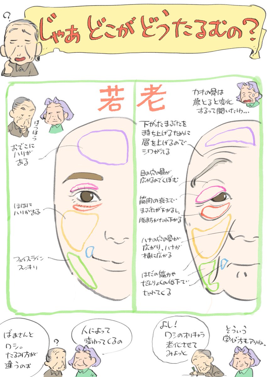 お爺ちゃんお婆ちゃんを描いても「なんか若くなる…」とお悩みの方は、顔のしわを平面の記号として捉えてしまっているからかもしれないです。たるみという立体として表現する事で、グッと説得力が生まれます！