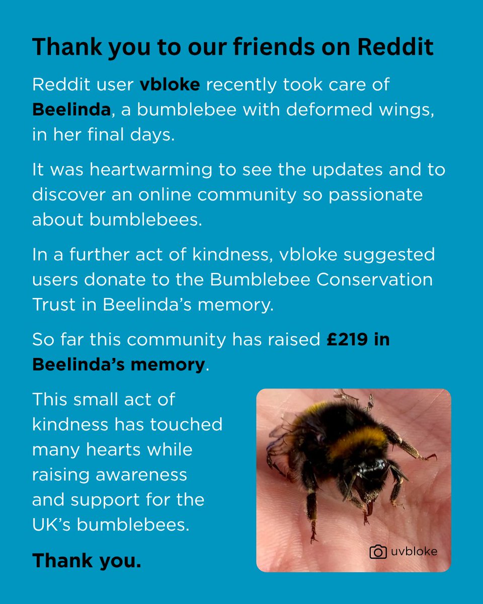 Thank you vbloke and the Reddit community 💛

Follow Beelinda's story here: ow.ly/wxl750WezSr