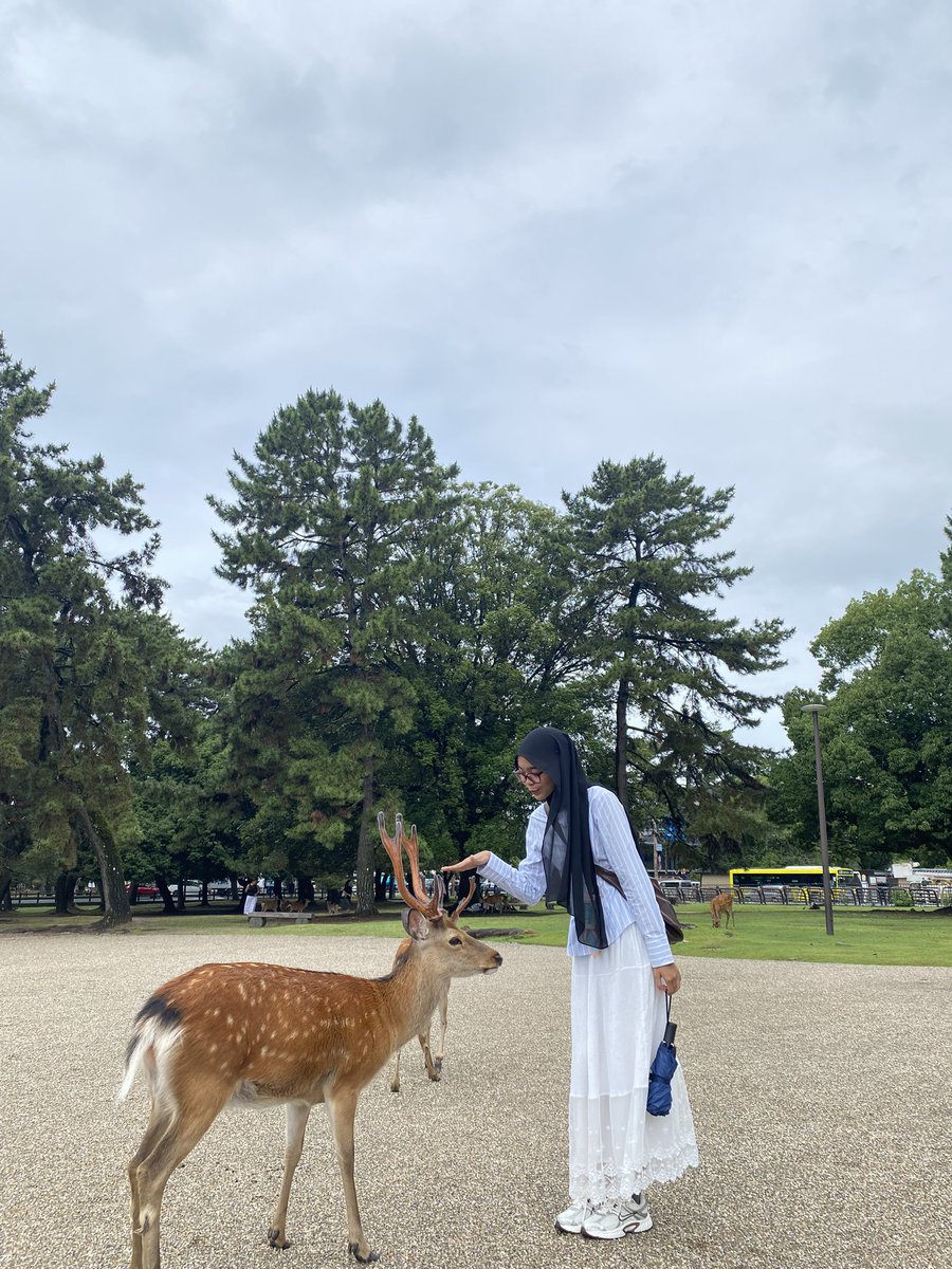 sebelum di gigit🥹