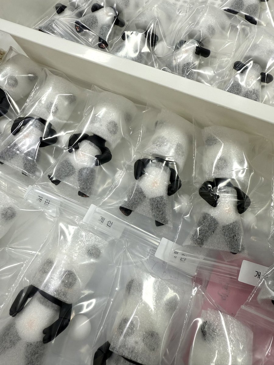 오프라인 이벤트 선주문의 팬더들이 오늘 모두 발송됩니다✨ 기다려주셔서 감사합니다! 
オフラインイベント受注のパンダ達が明日全て発送になります✨待って頂きありがとうございます！
#kumukuku #쿠무쿠쿠 #クムクク