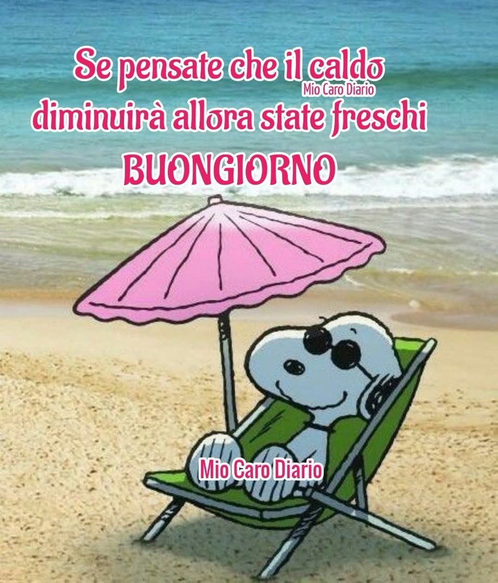 Simonetta tweet media