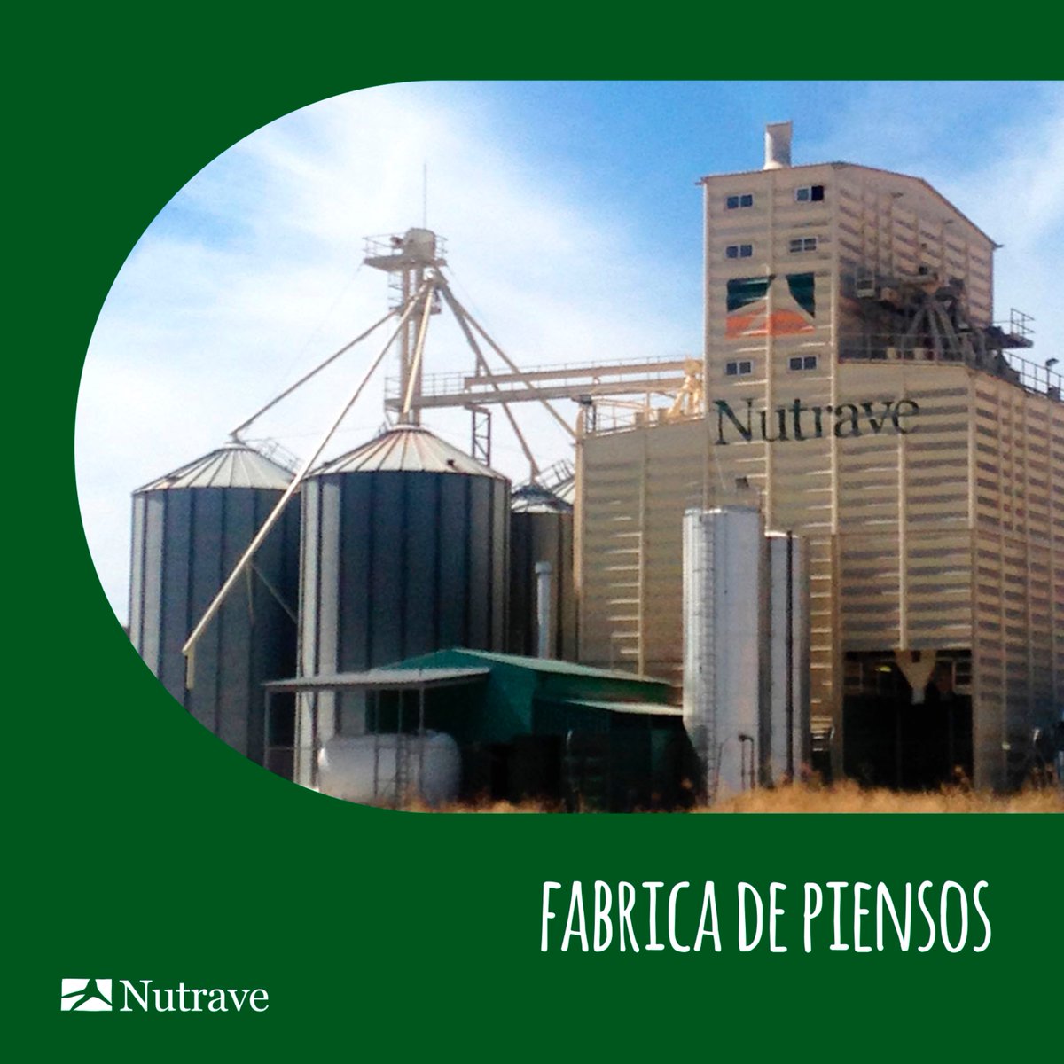 🌾 Con una capacidad de 60.000 toneladas anuales, nuestra fábrica de piensos abastece a todas nuestras integraciones de pollo.
👨‍🔬 Profesionales expertos garantizan una nutrición ajustada a cada etapa, cuidando la salud y el crecimiento de nuestras aves.
ℹ️ nutrave.es/compania/insta…