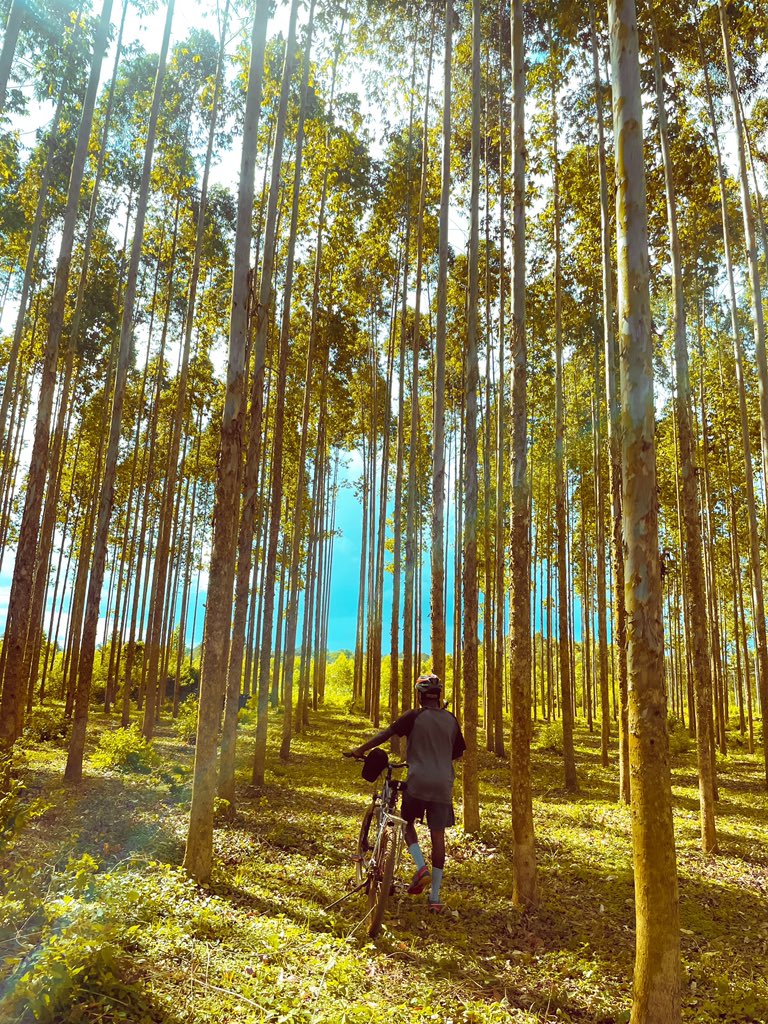 In Jinja, every road leads to a new thrill #mtb #travel