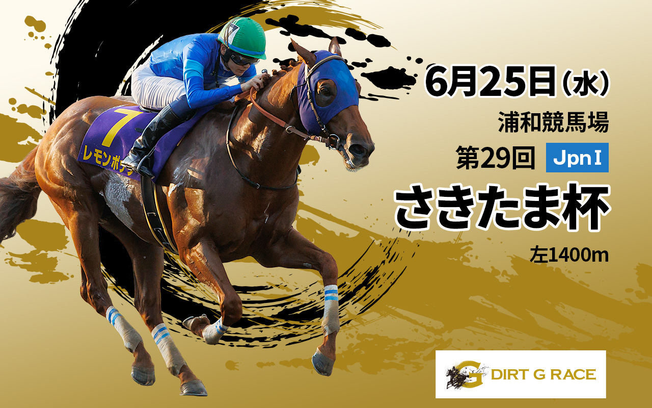 投資競馬書籍全37冊セット 投資競馬書籍全37冊セット