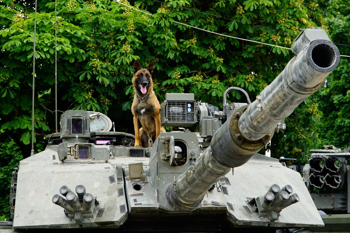 NATO Battlegroup Estonia (@natobgest) on Twitter photo Prototype Challenger lethality enhancements on display in Parnu yesterday
#NATO #WeAreNATO #StrongerTogether #estonia #britisharmy #armeefrancaise #kaitsevagi #servicedog #workingdog <a href="/DefenceOps/">Defence Operations 🇬🇧</a> <a href="/FrForcesEstonia/">French Forces in Estonia</a> <a href="/hqmncne/">HQ Multinational Corps Northeast</a> <a href="/Kaitsevagi/">Estonian Defence Forces | Eesti Kaitsevägi</a> Prototype Challenger lethality enhancements on display in Parnu yesterday
#NATO #WeAreNATO #StrongerTogether #estonia #britisharmy #armeefrancaise #kaitsevagi #servicedog #workingdog <a href="/DefenceOps/">Defence Operations 🇬🇧</a> <a href="/FrForcesEstonia/">French Forces in Estonia</a> <a href="/hqmncne/">HQ Multinational Corps Northeast</a> <a href="/Kaitsevagi/">Estonian Defence Forces | Eesti Kaitsevägi</a>