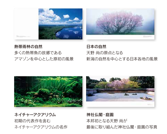 レア】【ADA 天野尚 写真】