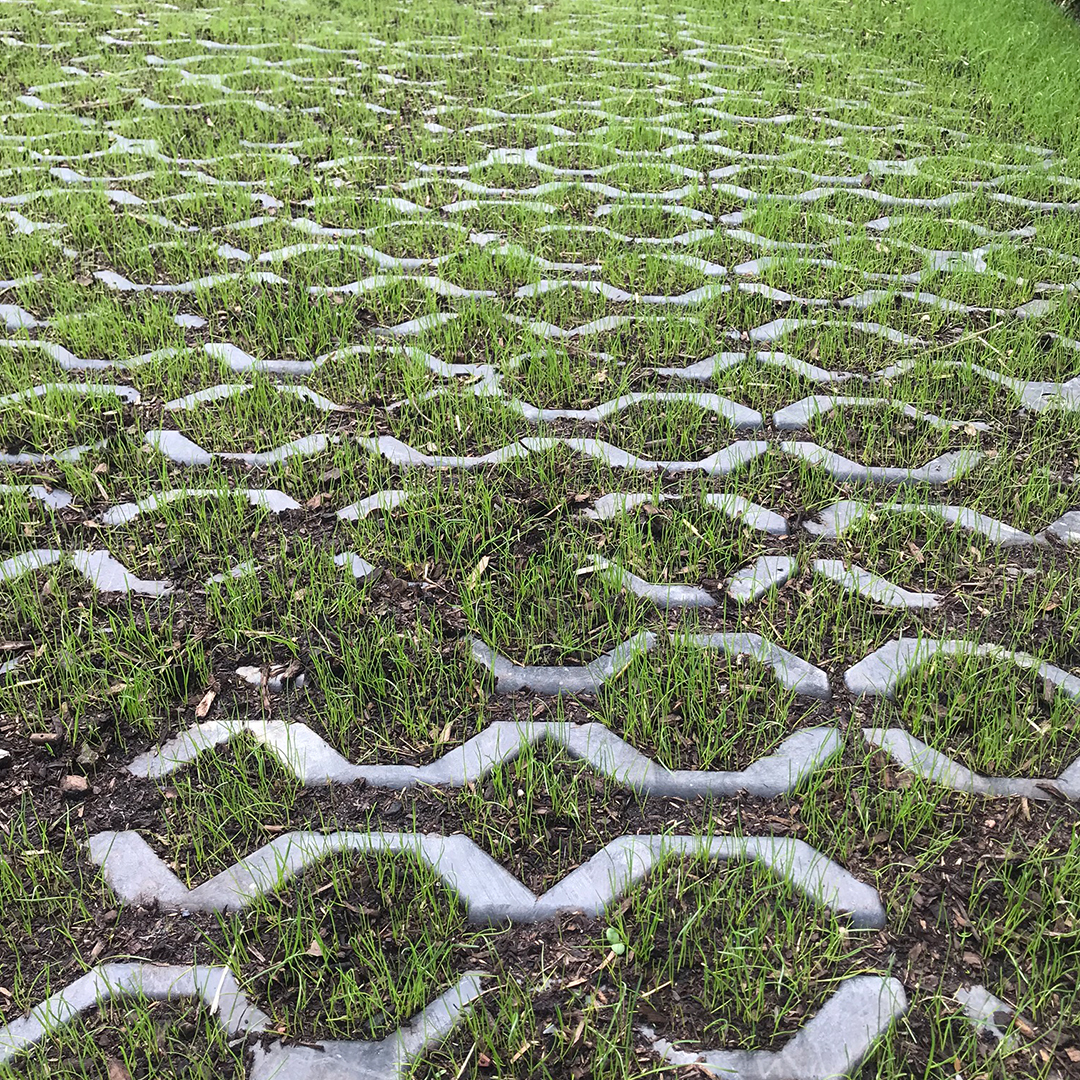 🚛 Park Pave Truck – A tough, sustainable alternative to tarmac &amp; concrete for high-traffic areas.

✅ SuDS compliant
✅ Grass or gravel infill
✅ Made from 100% recycled plastic

Ideal for HGV roads, truck parks &amp; more.

#ParkPave #PorousPaving #SuDS #SustainableConstruction