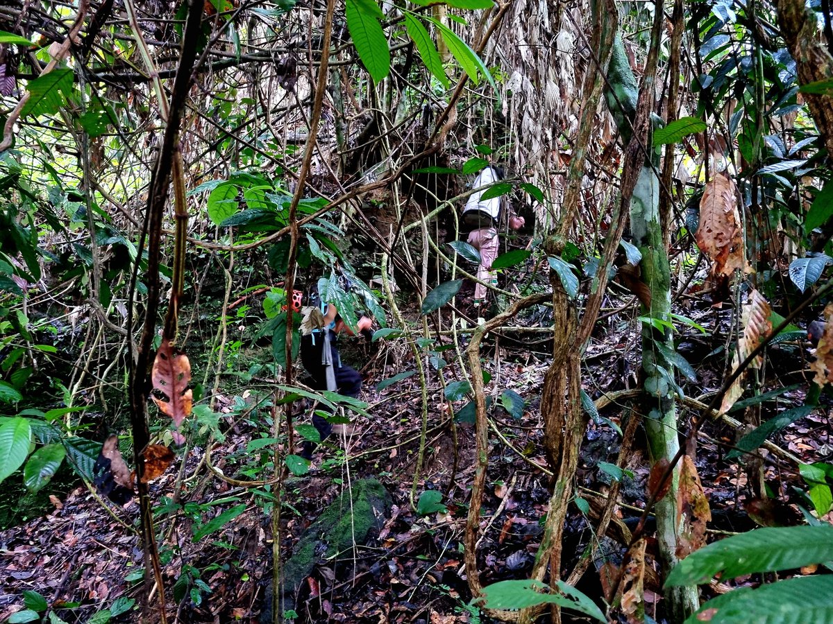 Jessica Haysom, PhD tweet media