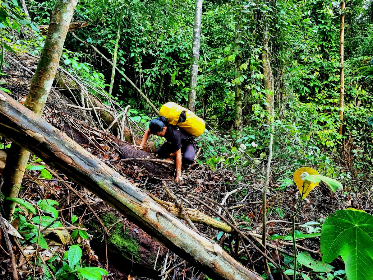 Jessica Haysom, PhD tweet media