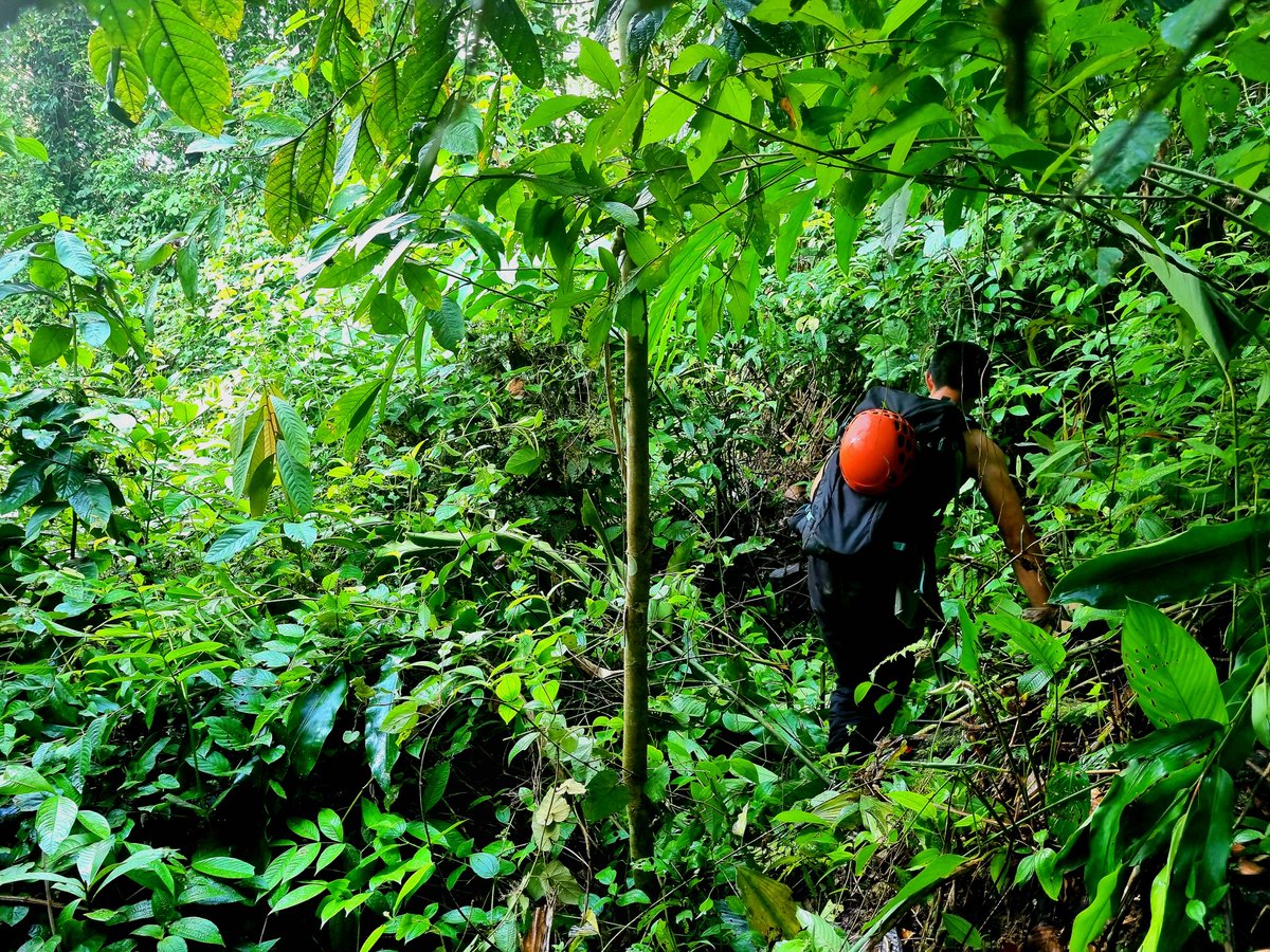 Jessica Haysom, PhD tweet media