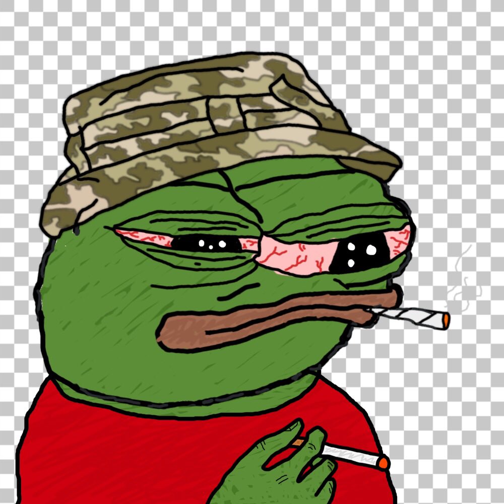 Taylor Wade tweet media