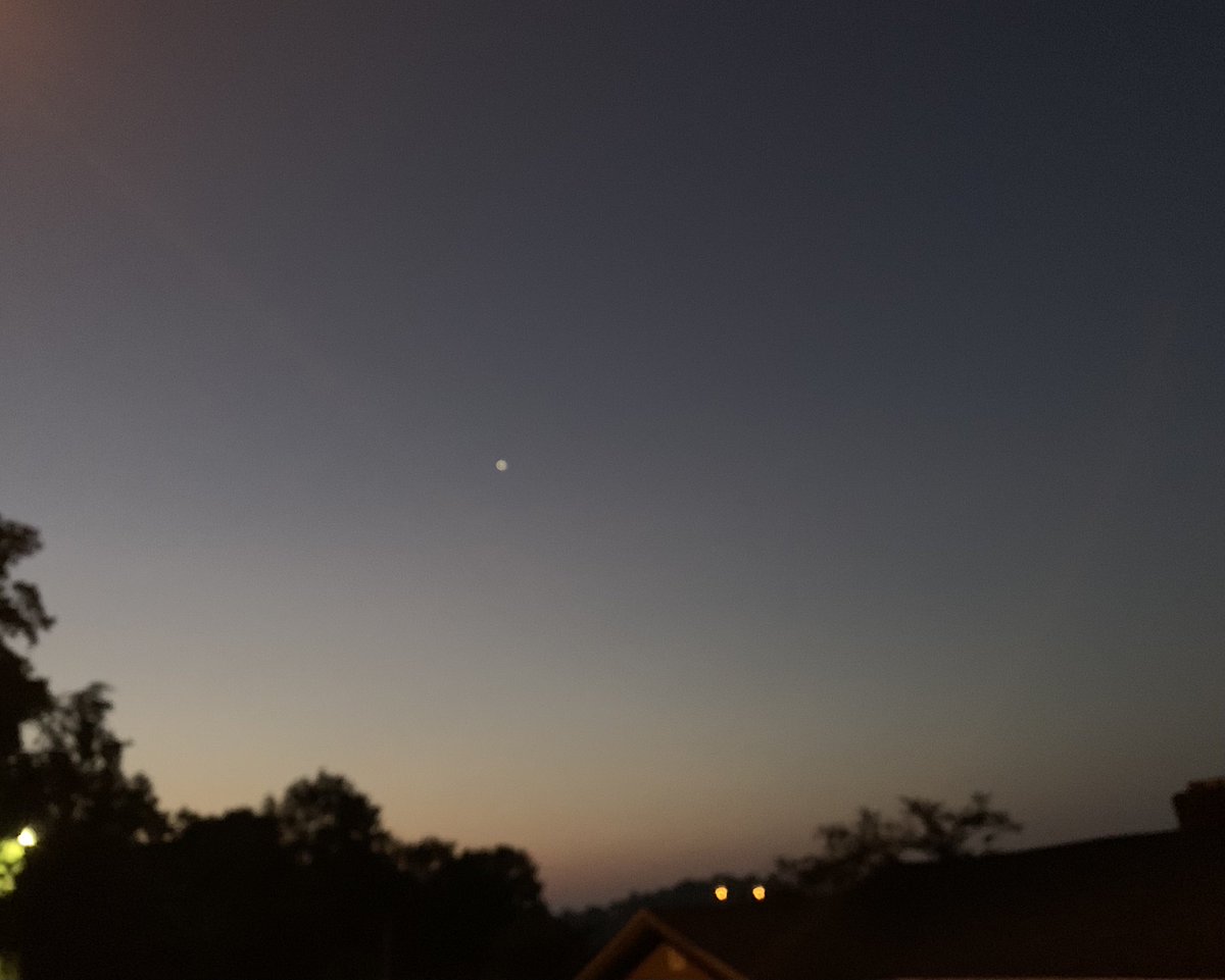 dani48086's tweet image. Dawn pawtroll: got Daphne and Layla out before it gets too hot (95*F) expected later today. Still dripping with humidity.