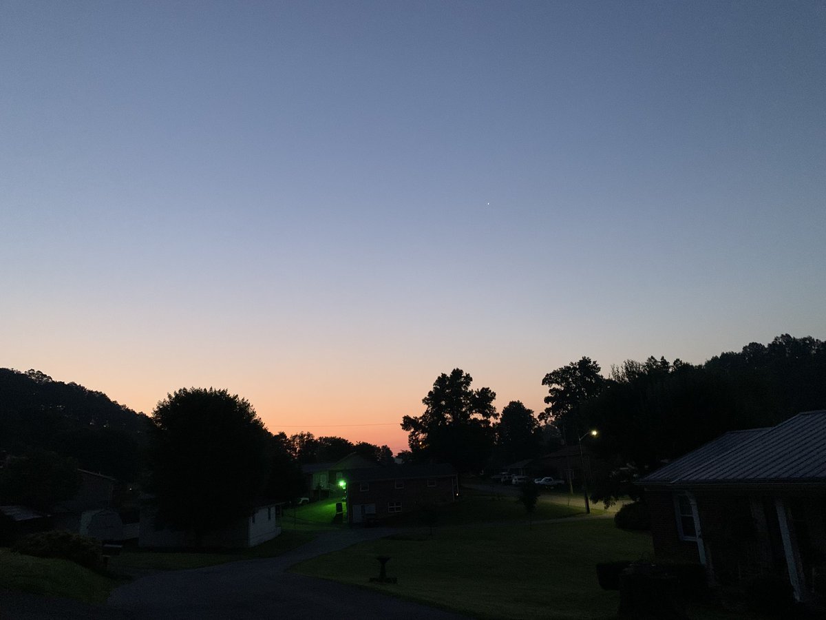 dani48086's tweet image. Dawn pawtroll: got Daphne and Layla out before it gets too hot (95*F) expected later today. Still dripping with humidity.