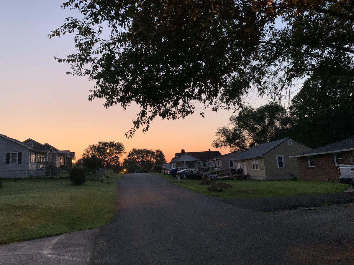 dani48086's tweet image. Dawn pawtroll: got Daphne and Layla out before it gets too hot (95*F) expected later today. Still dripping with humidity.