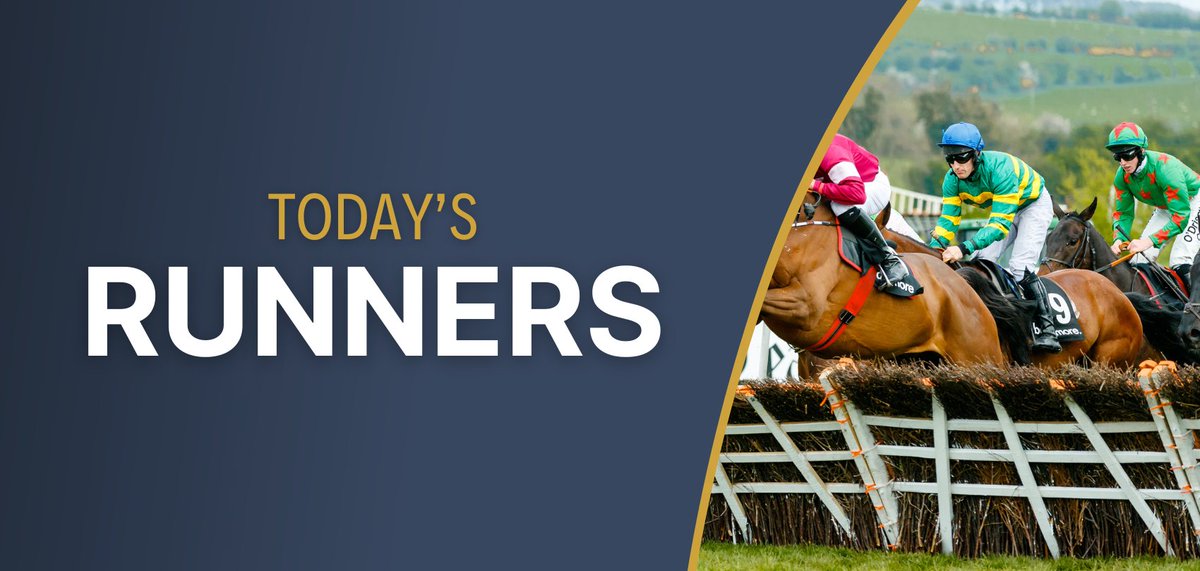 FromTheStables tweet media