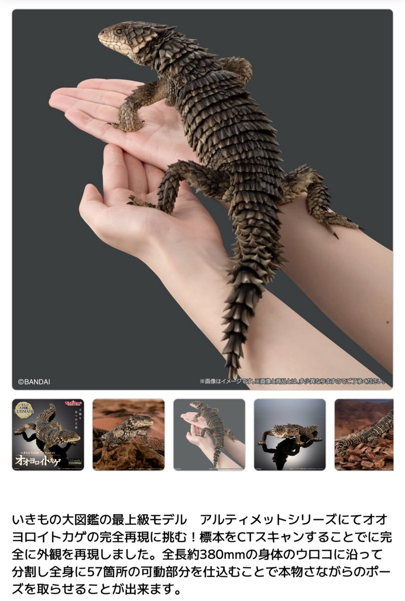 輸送箱未開封品】 いきもの大図鑑アルティメット ▪︎ オオ