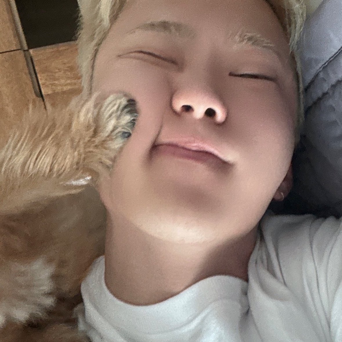 dee (@mochihochihae) on Twitter photo 