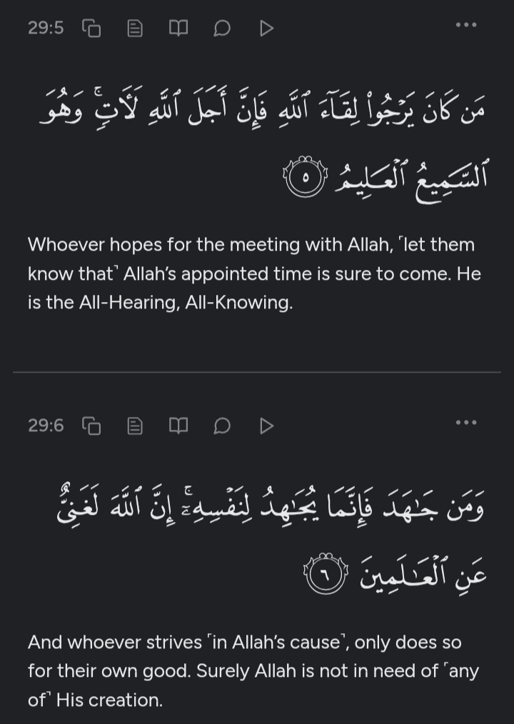 Surah Al-Ankabut, verse 5-6.