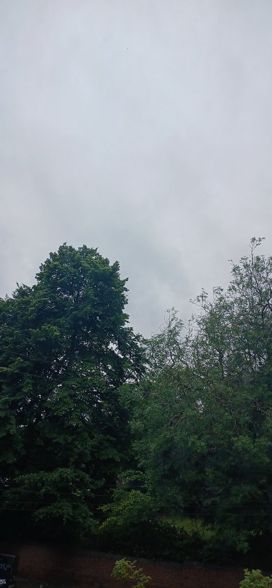<a href="/tomjc09/">tom crisp</a> Grey and breezy but no rain yet