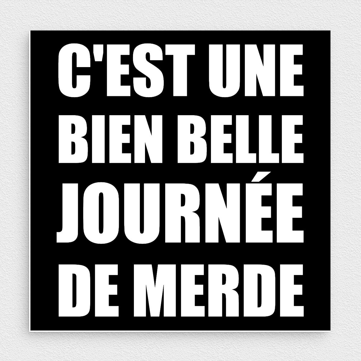 The Joconde 🐦 tweet media