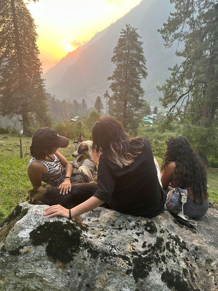 “The Himalayan Nights” is coming out soon! 🏔️ I had the incredible joy of working on this book last year while traveling through Himachal. It’s dedicated to the amazing people I met in the mountains. 💌🌲