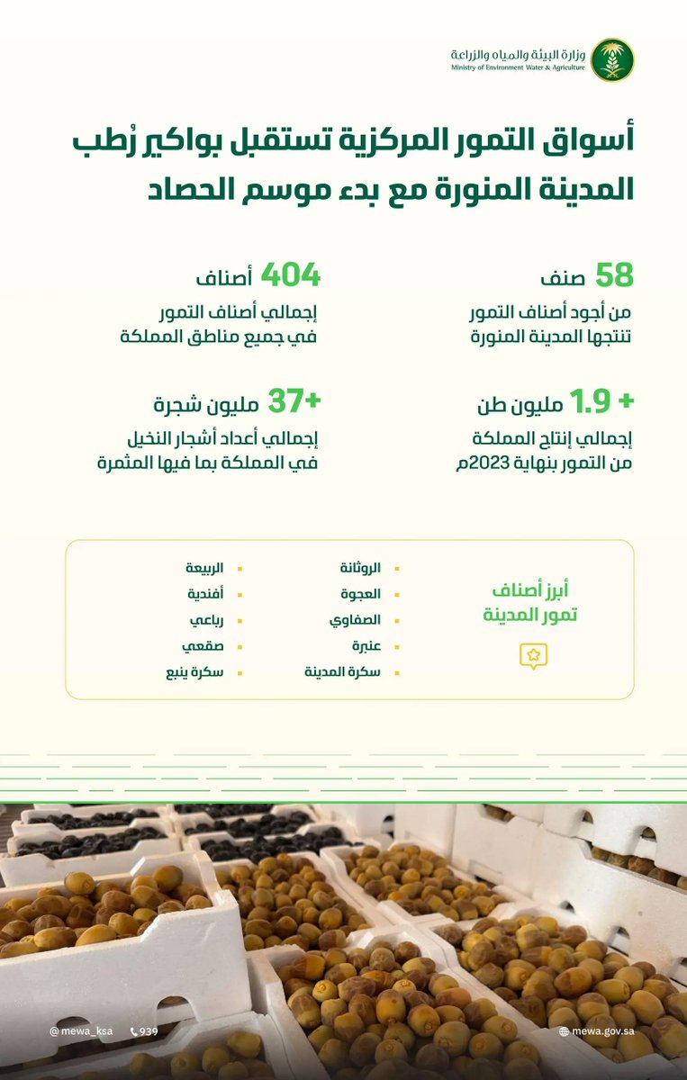 بواكير تمور المدينة المنورة تُنعش أسواق المملكة بأكثر من 58 صنفًا مع انطلاق موسم الحصاد.
spa.gov.sa/ar/w2345591
#واس_اقتصادي