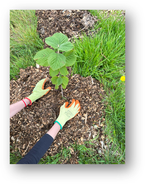 Viaro Energy tweet media