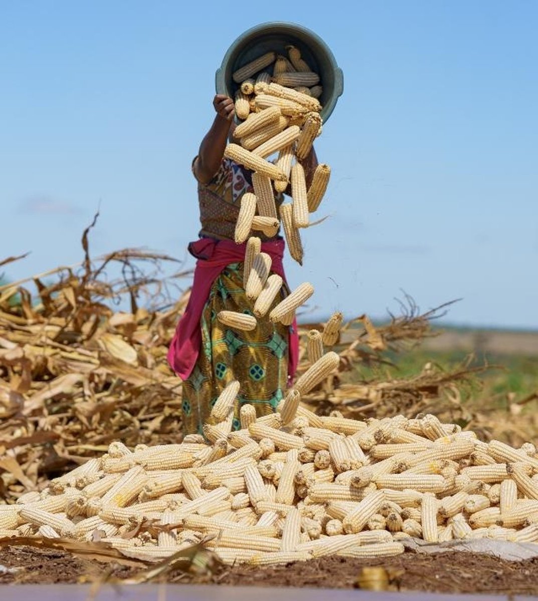 Sovereign Metals tweet media