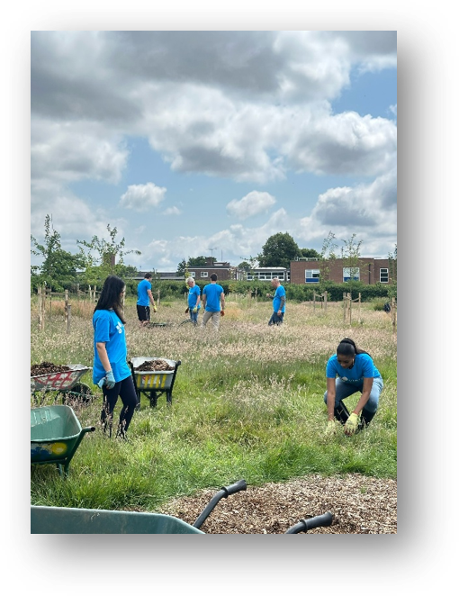 Viaro Energy tweet media