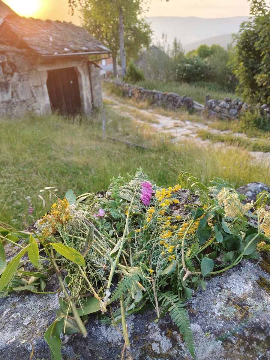Hai un tema no que cada vez hai máis confusión, e é reducir tradicións a zonas concretas de Galiza, o que provoca indirectamente quitarlle o seu carácter nacional e reducir a cultura galega a pequenas sumas de tradicións de zonas concretas. Pasa moito co Entroido, San Xoán..

👇