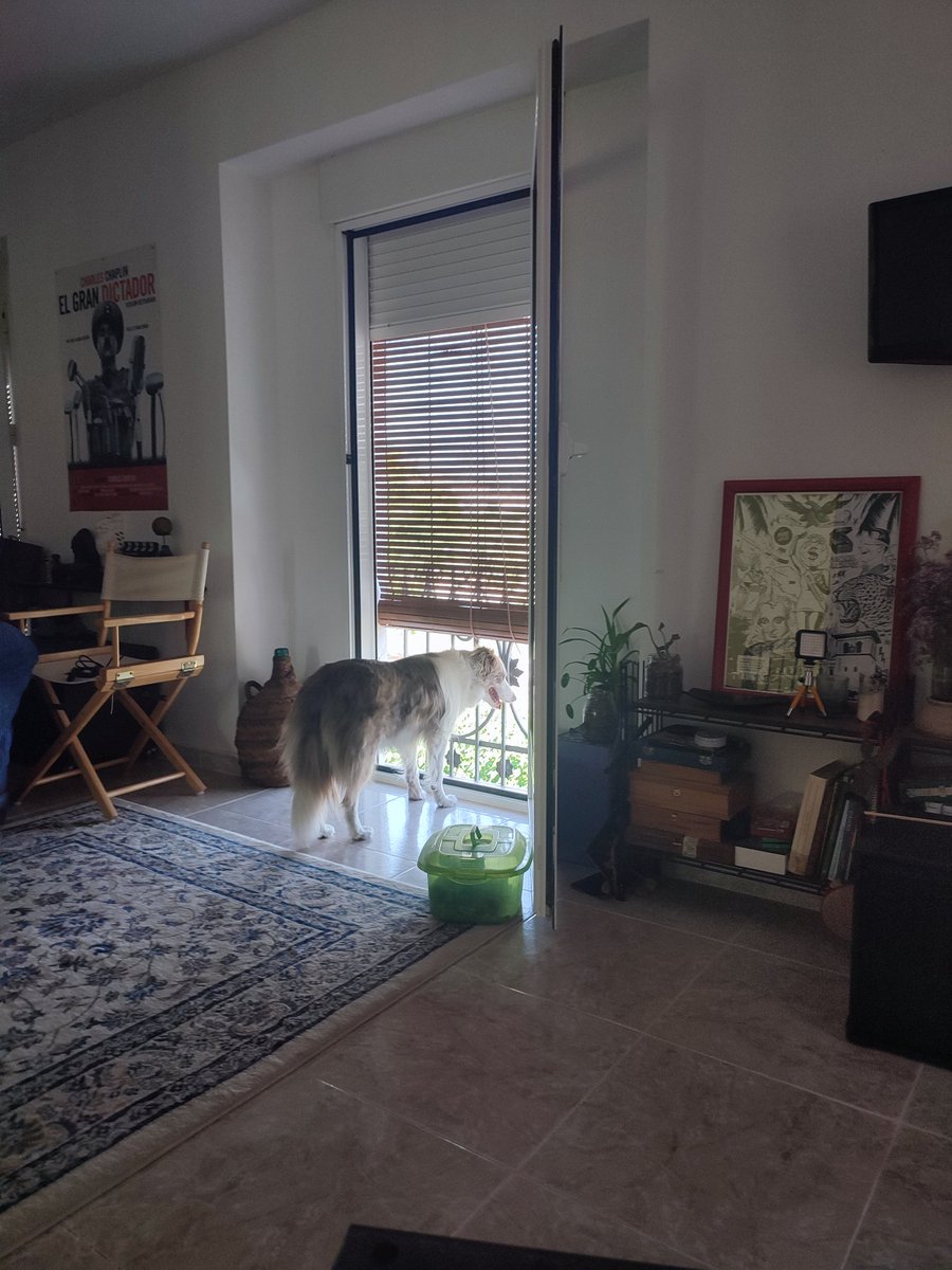 -oye y como se porta la perrita?
-es una más del pueblo 🤣😍