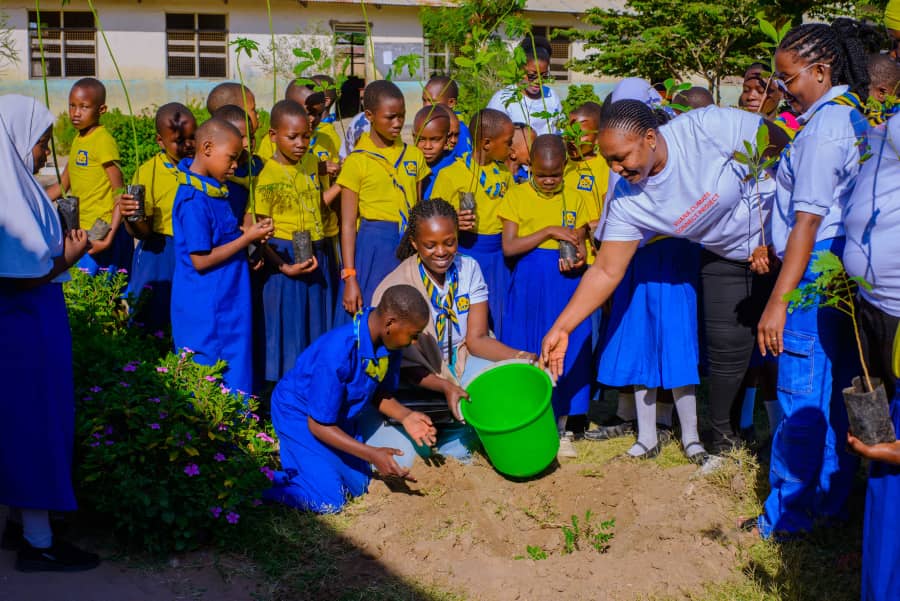 tgga_official's tweet photo. Planted 200 trees and installed 2 dustbins in Dodoma schools under the Vijana Climate Connect Project Promoting greener spaces and better waste management! #YouthMobilize #YouthLeadstheWat #YouthEmpiwermentFund #Wagggs #wosm https://t.co/8RnFD7bySQ